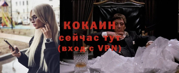 твердый Кулебаки