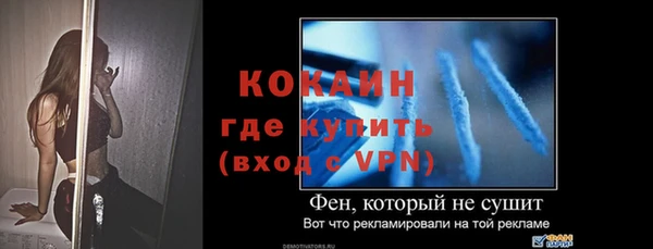 твердый Кулебаки