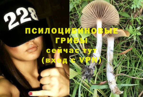 твердый Кулебаки