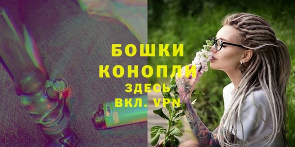 ГАЛЛЮЦИНОГЕННЫЕ ГРИБЫ Краснослободск
