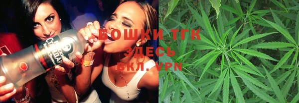молекула духа Красноперекопск